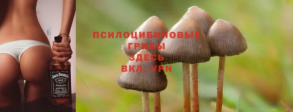 мяу мяу мука Балабаново