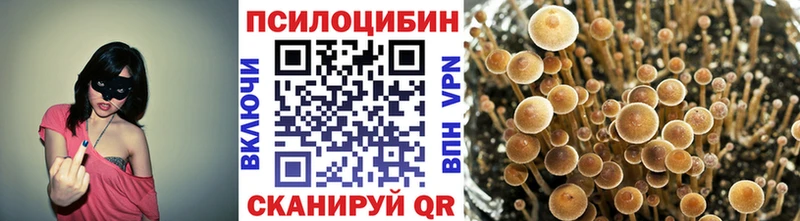 мега   Балей  Галлюциногенные грибы MAGIC MUSHROOMS 